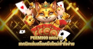 PEEM999 แตกง่าย เทคนิคเล่นสล็อตมือใหม่เข้าใจง่าย